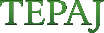 Nome da plataforma TEPAJ